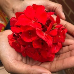 Meet your Posher, Ayrika